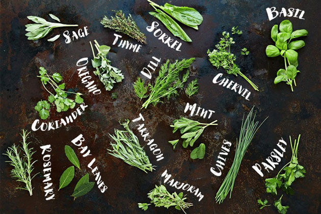 Five Powerful Herbs and Their Health Benefits